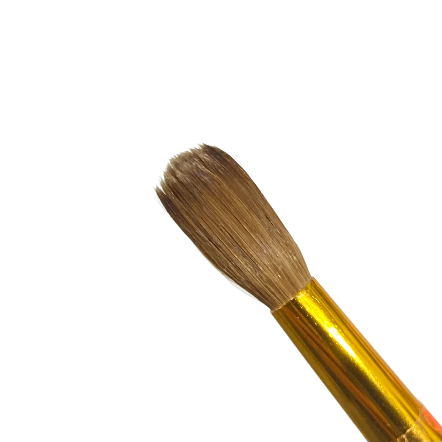 Bàn chải acrylic Kolinsky cao cấp JKIOCEAN